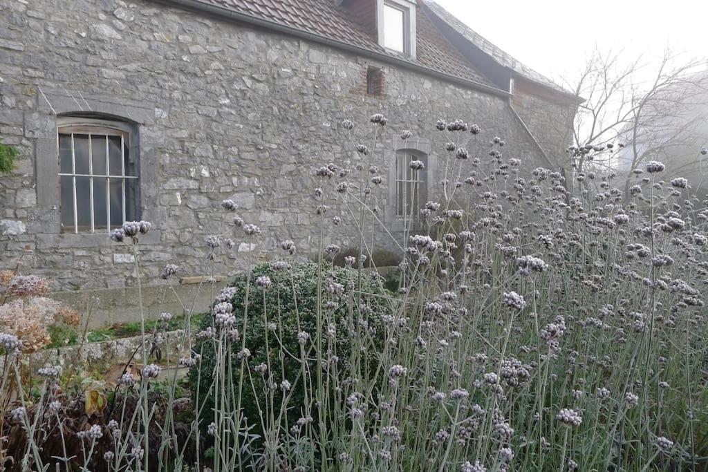 La Ferme Aux Oiseaux B&B Beaumont Extérieur photo